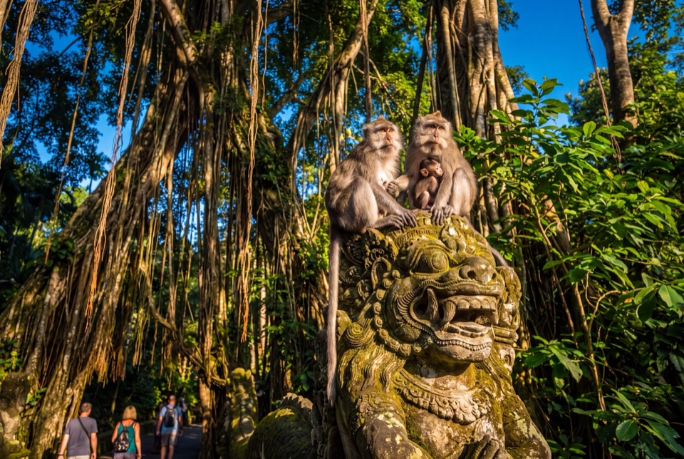 Ubud Kutsal Maymun Ormanı'nda yosunlu taş heykel üzerinde makaklar